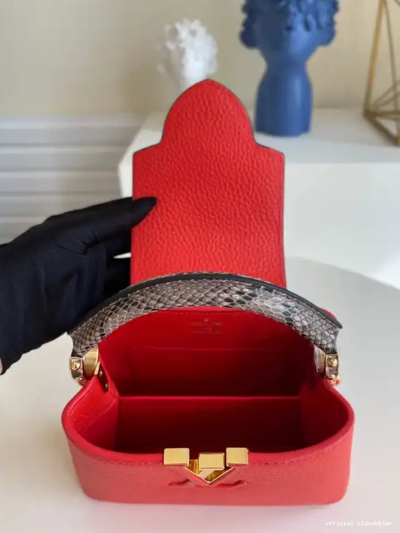 Official oldcobbler LOUIS VUITTON MINI CAPUCINES 0517